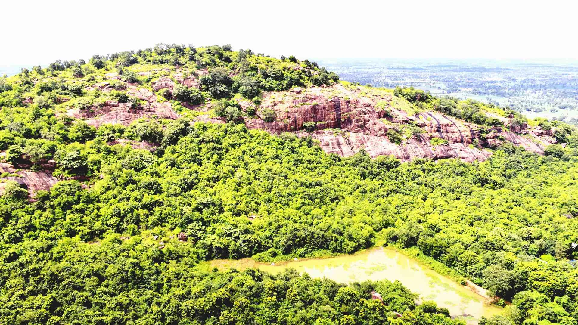 eco tourism odisha (4) national park in odisha