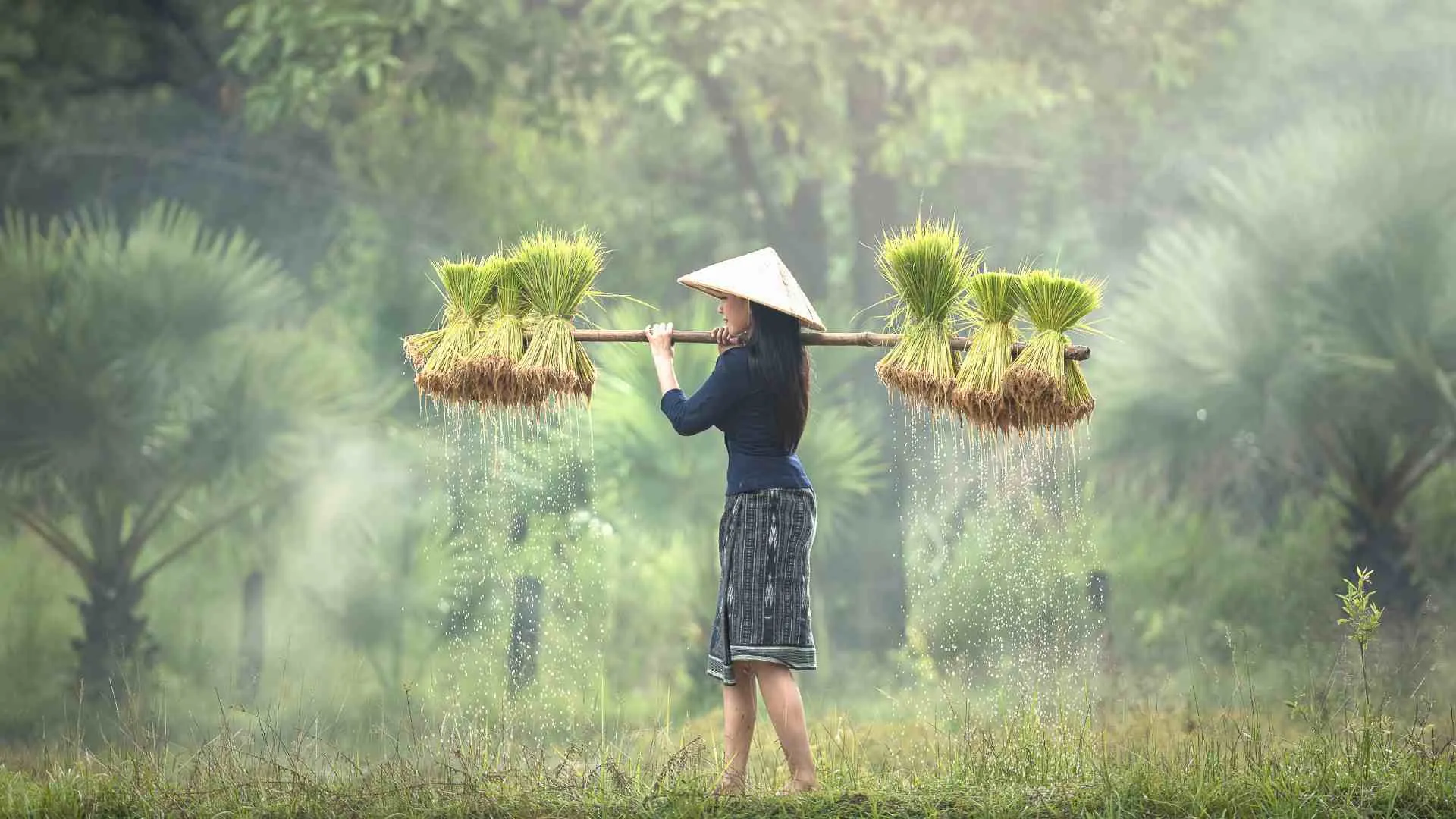 eco tourism vietnam (3) Ba Na Suoi Mo