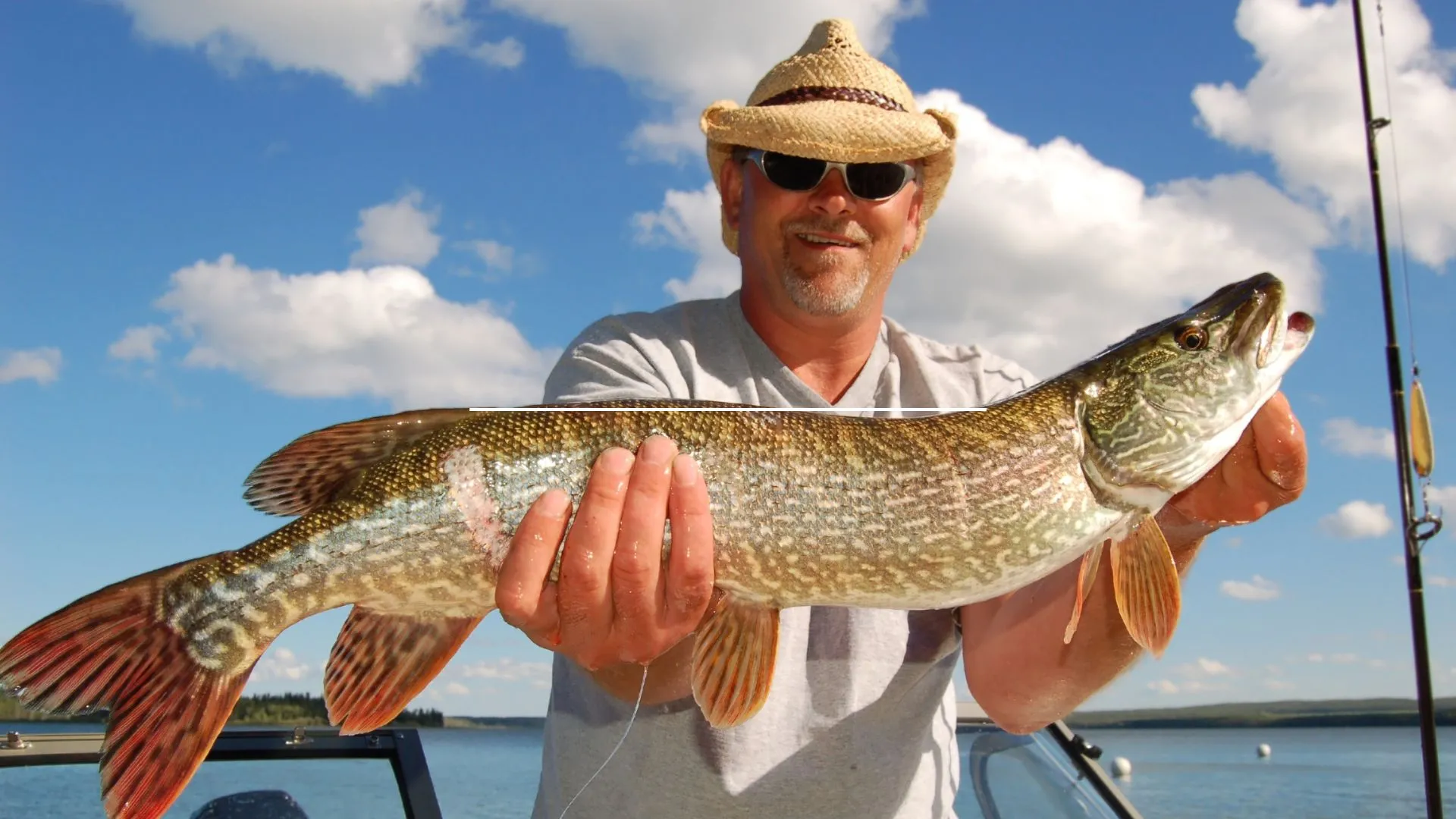 fishing in thunder bay (3) fish in thunder bay