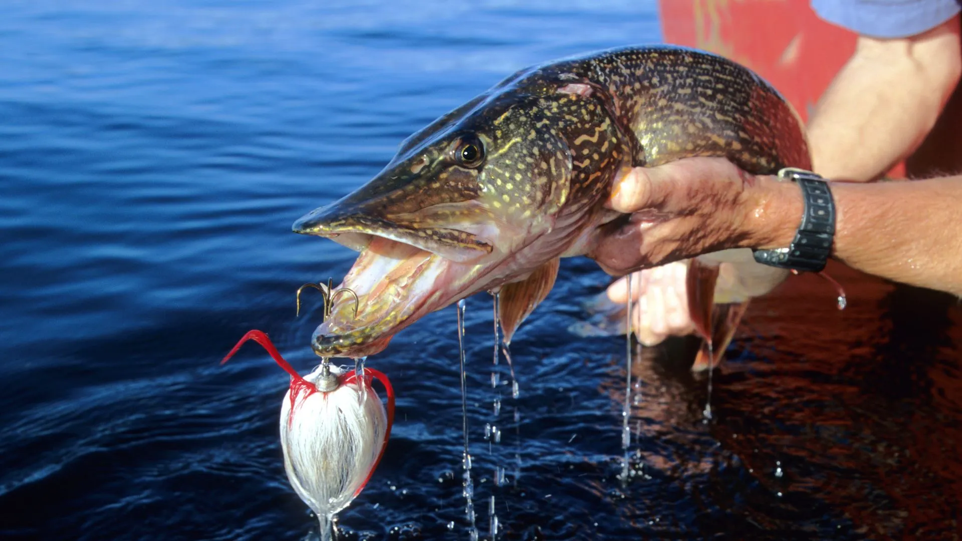 fishing in thunder bay (5) thunder bay fishing