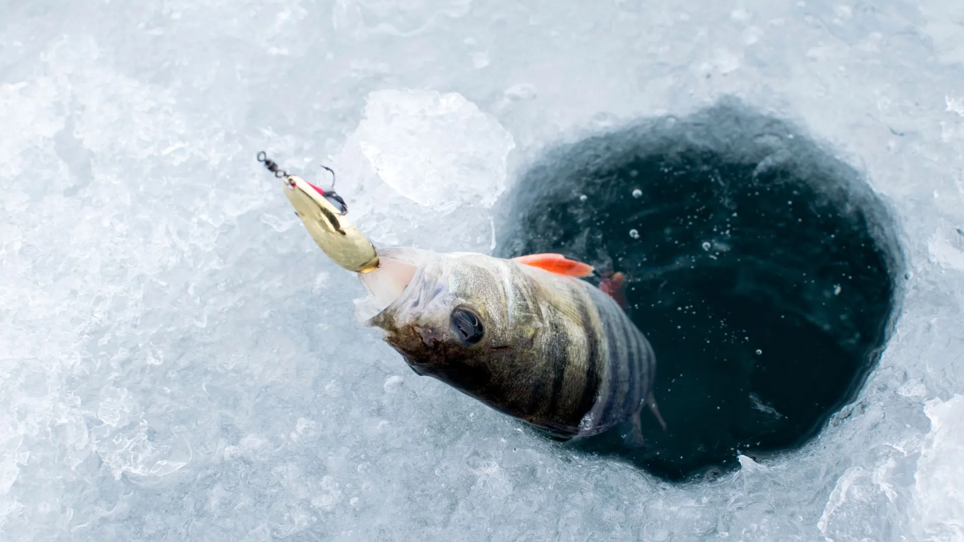 ice fishing on mille lacs lake (4) mille lacs lake ice fishing