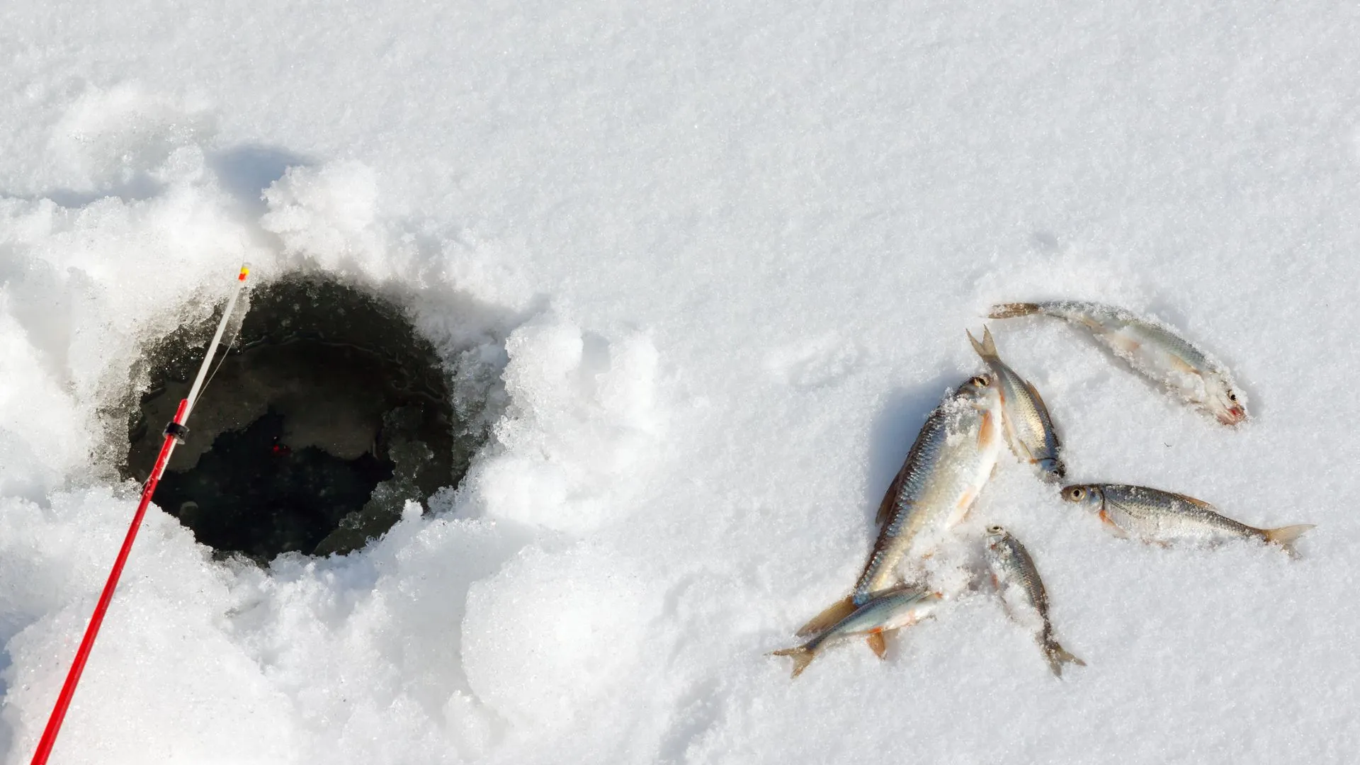 ice fishing on mille lacs lake (9) fishing on mille lacs ice fishing