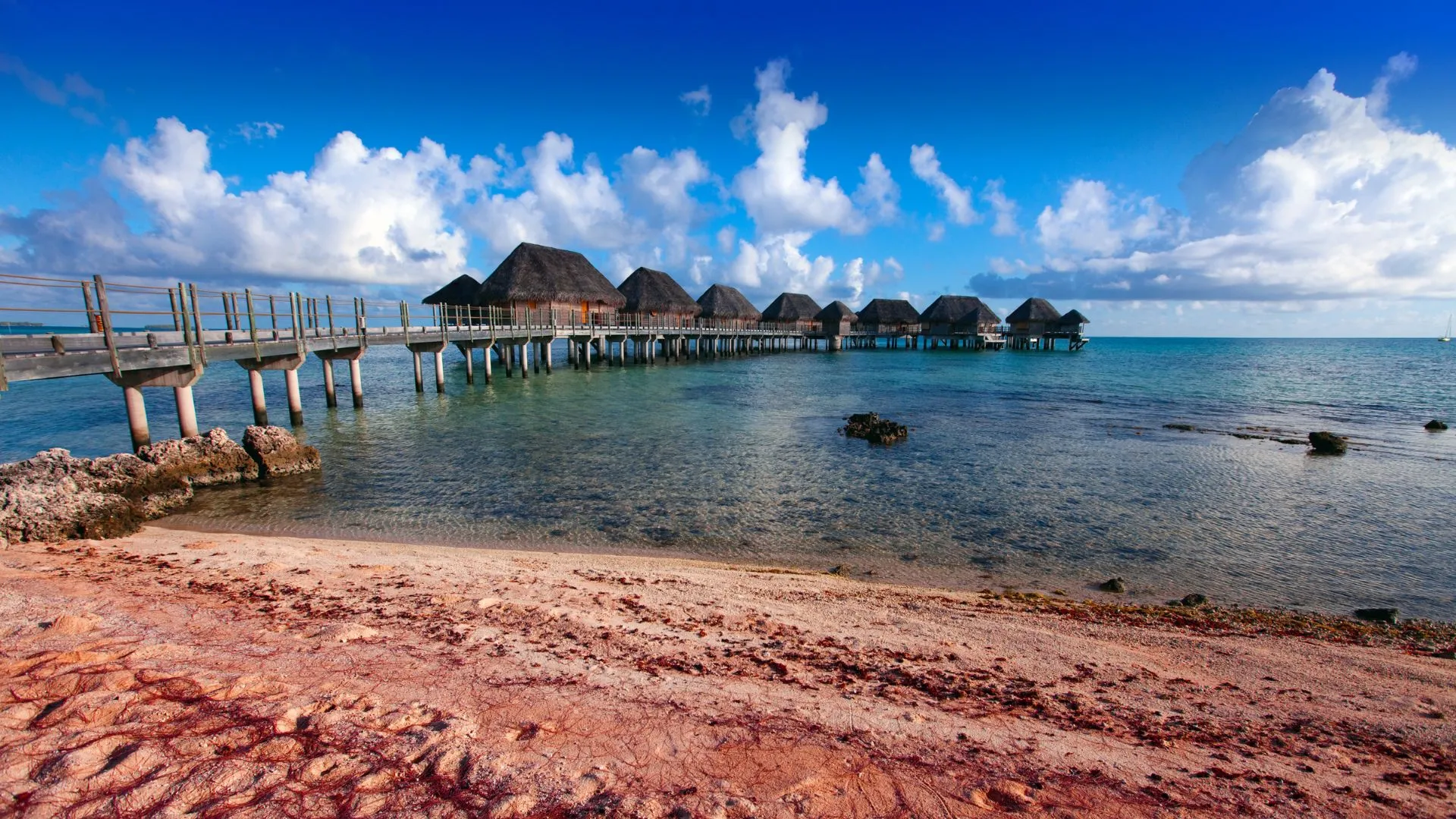 panama overwater bungalows (3) Coral Lodge Panama
