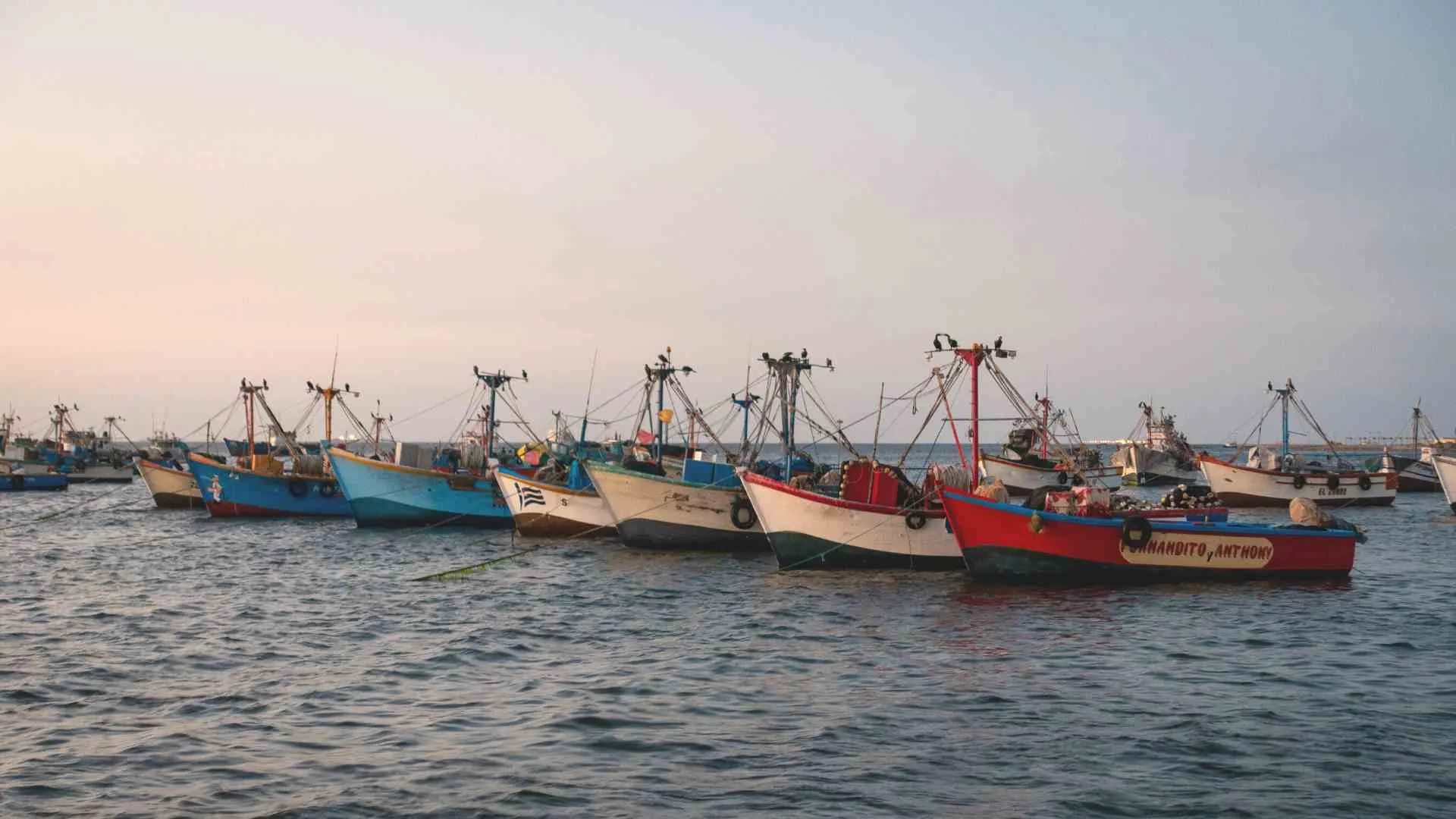paracas peru what to do (4) boats in paracas harbor