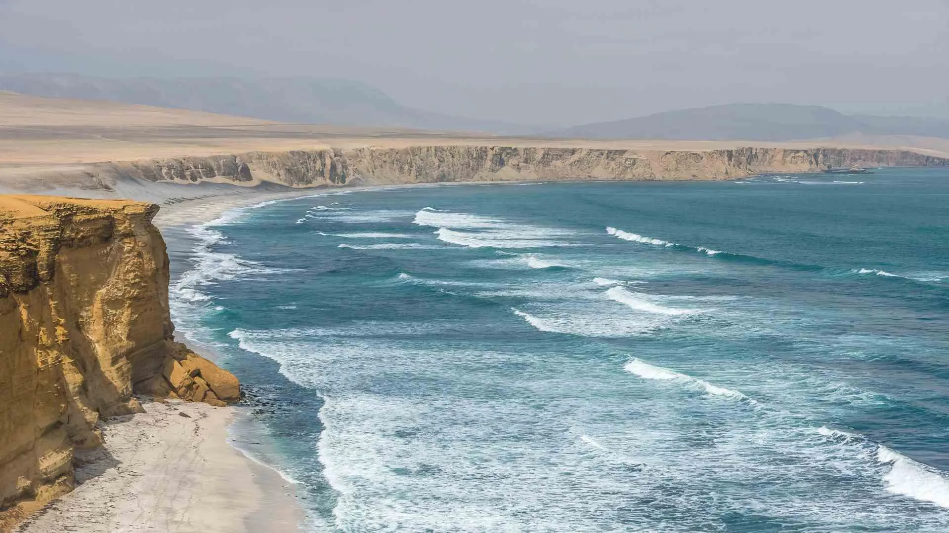 paracas peru what to do