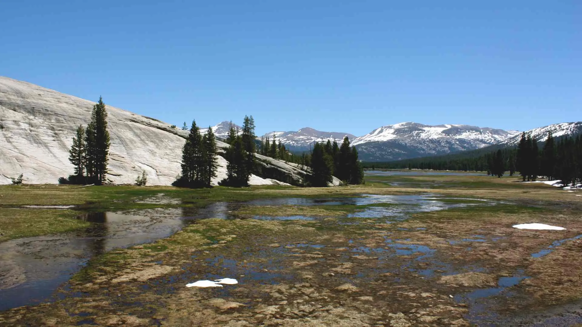 road trip yosemite (6) Tuolumne Meadows