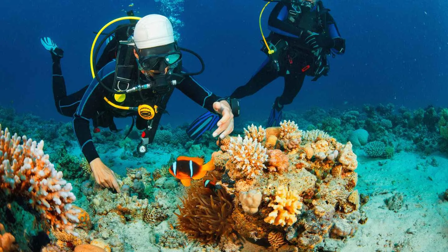 scuba diving Dominican Republic-3 scuba diving in the Dominican Republic