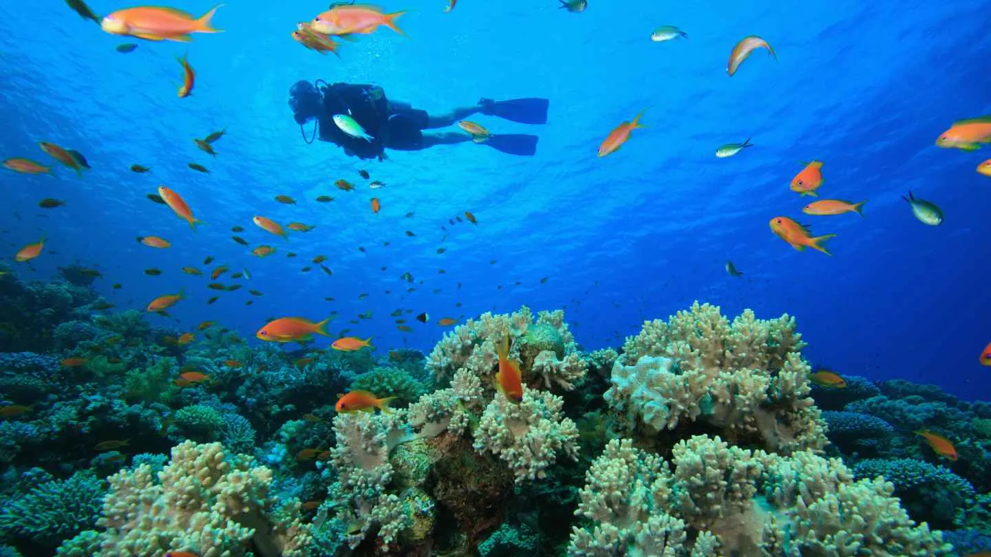 scuba diving Dominican Republic-4 scuba diver on the surface
