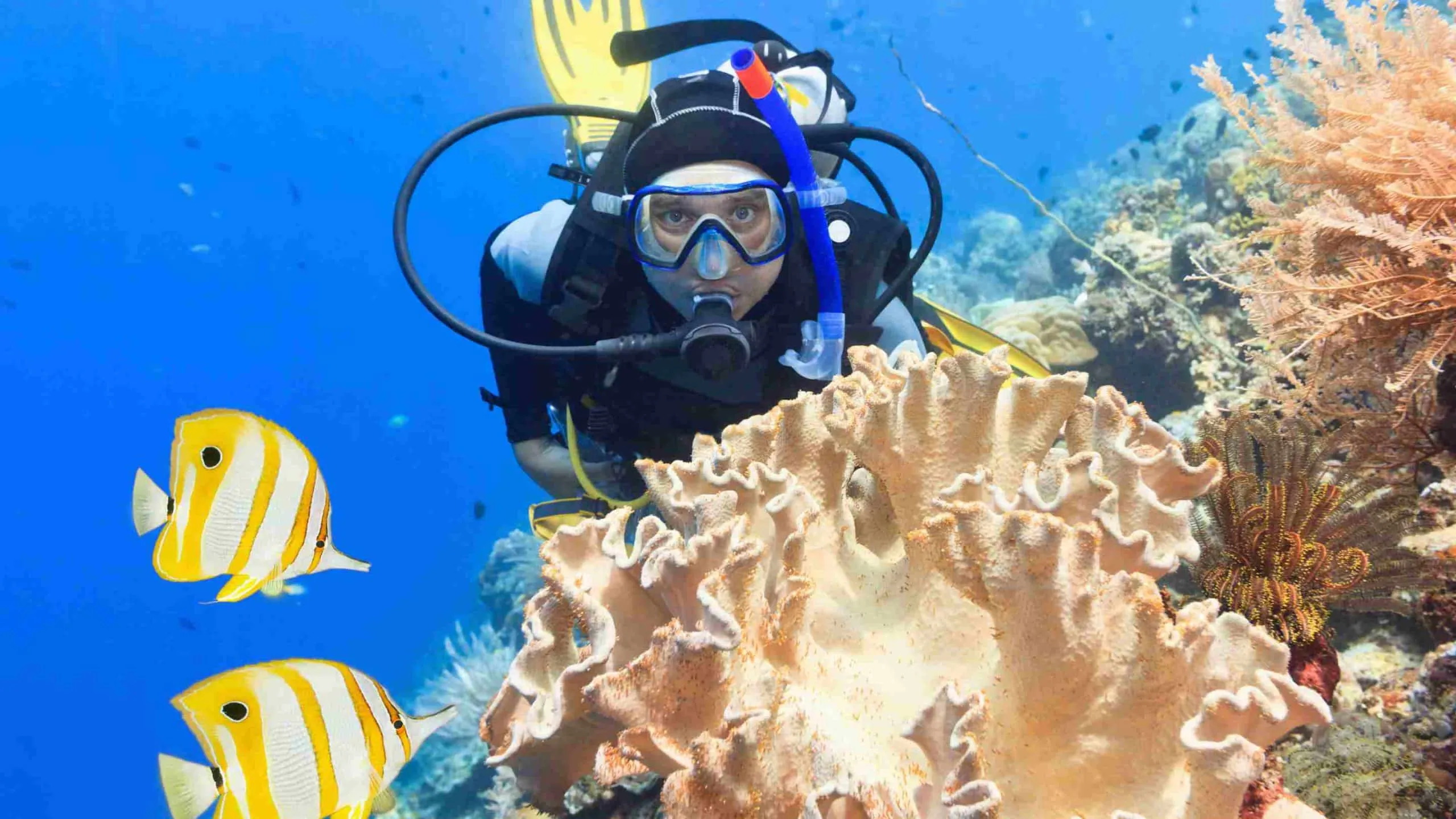 scuba diving Dominican Republic
