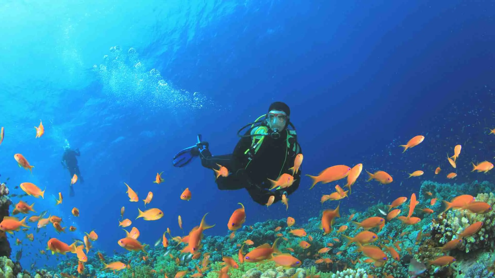 scuba diving quotes (1) scuba quotes