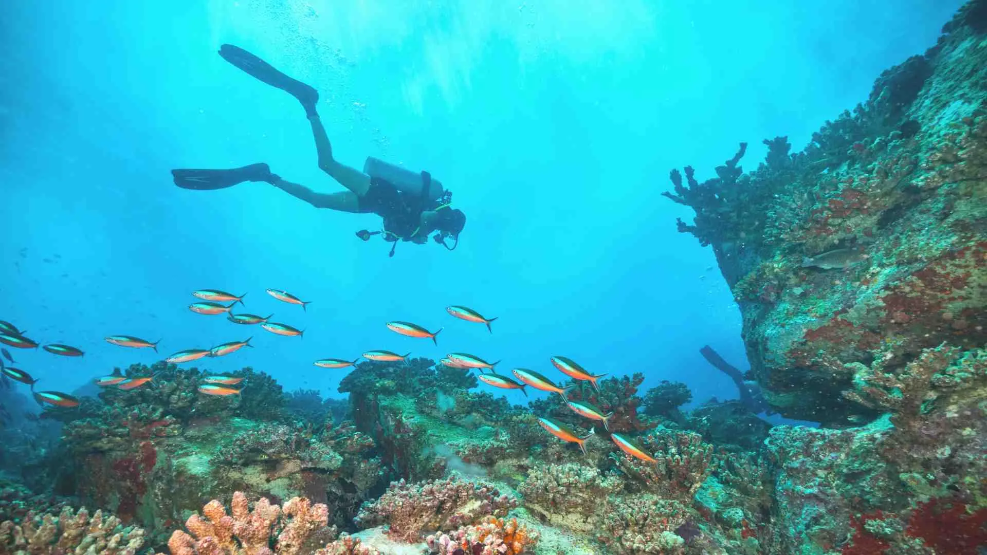 scuba diving quotes (3)
