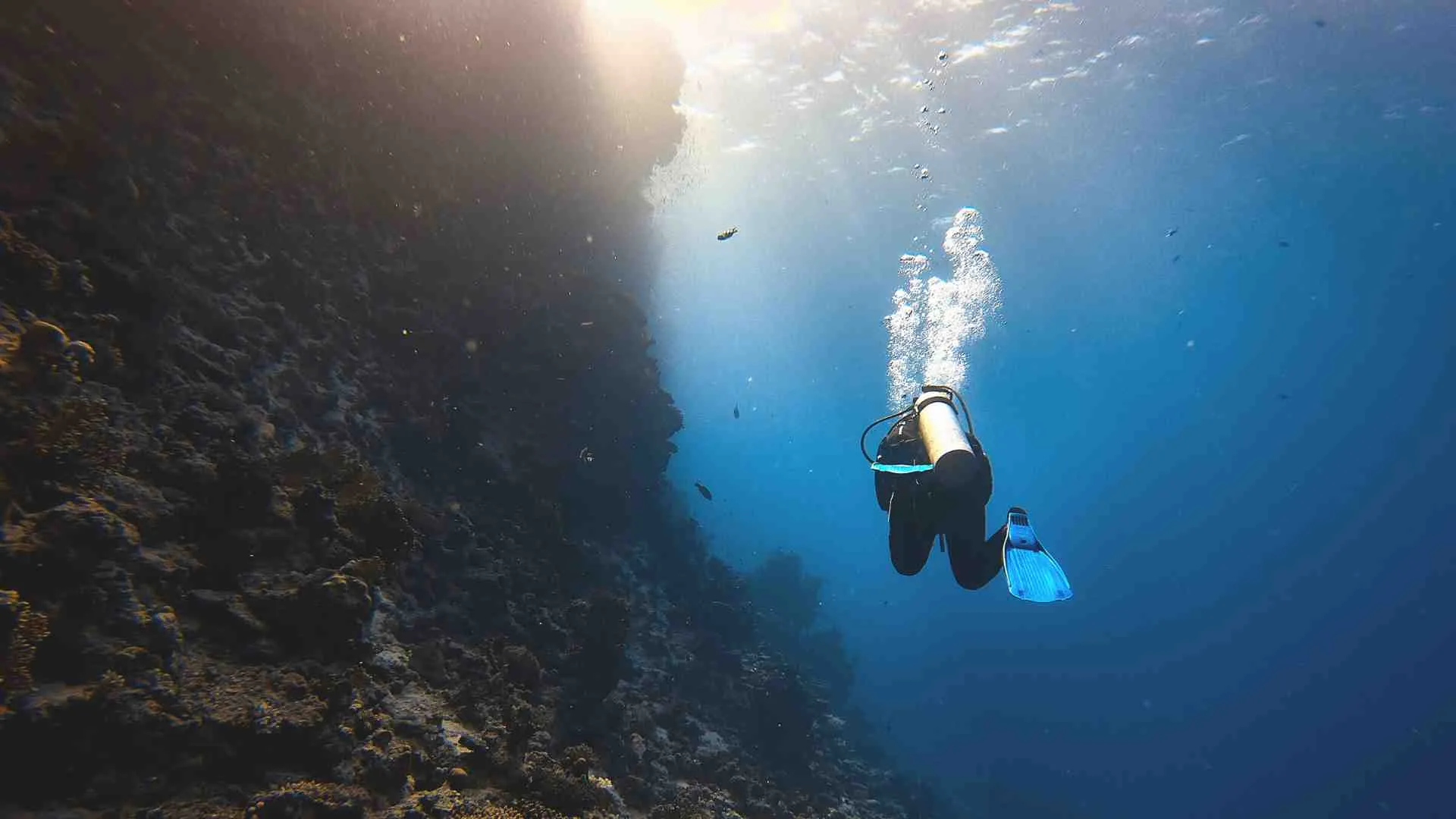 scuba diving wall scuba diving wall