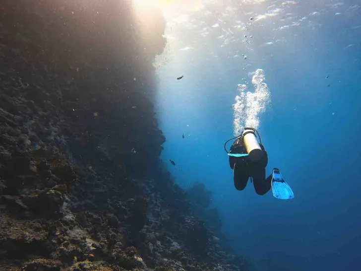 scuba diving quotes