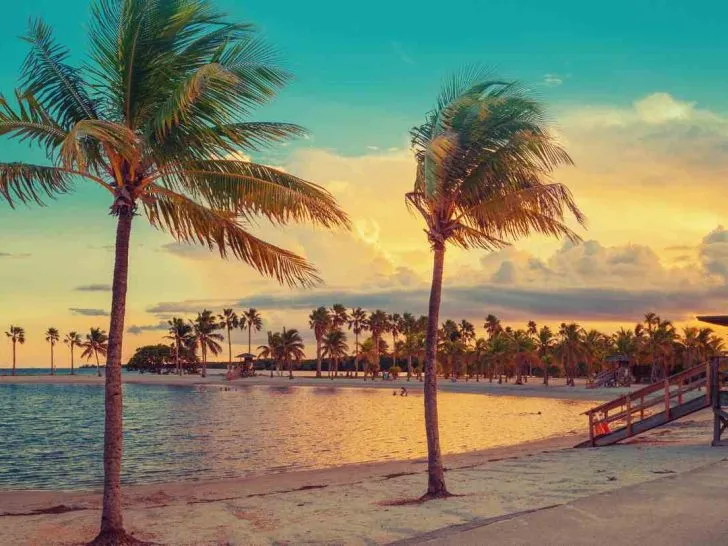 solo travel Miami
