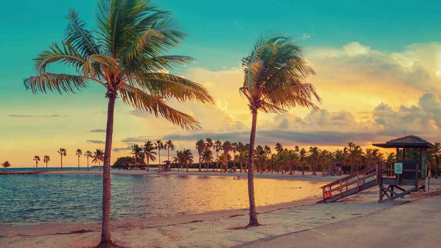 solo travel Miami
