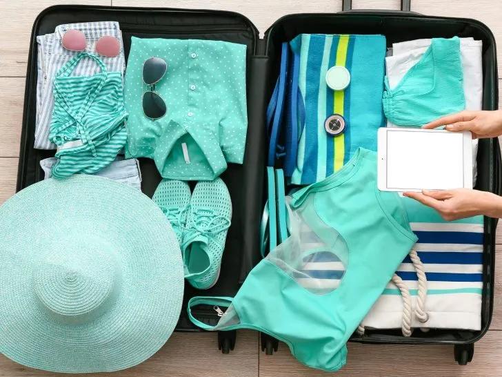 cruise essentials and cruise packing list pdf