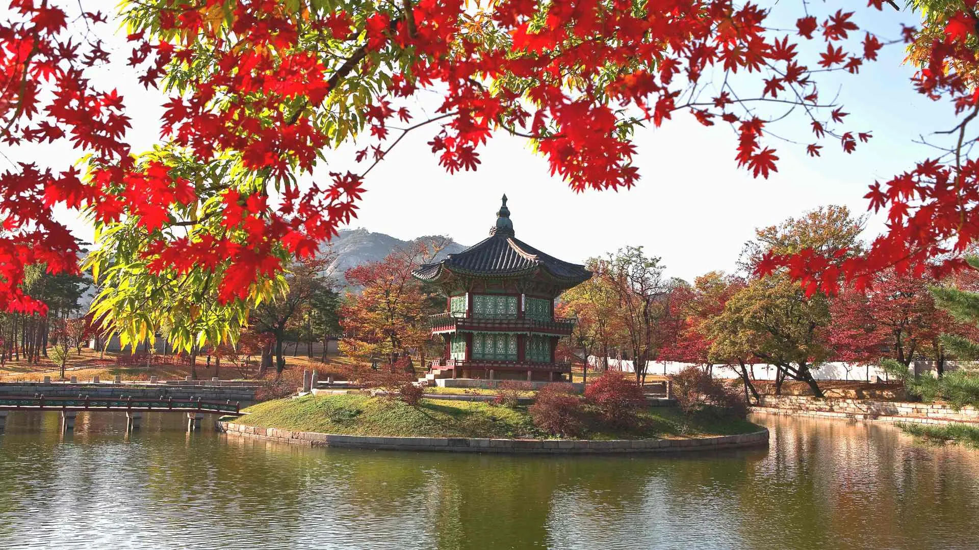 travel tips for south korea travel tips for south korea