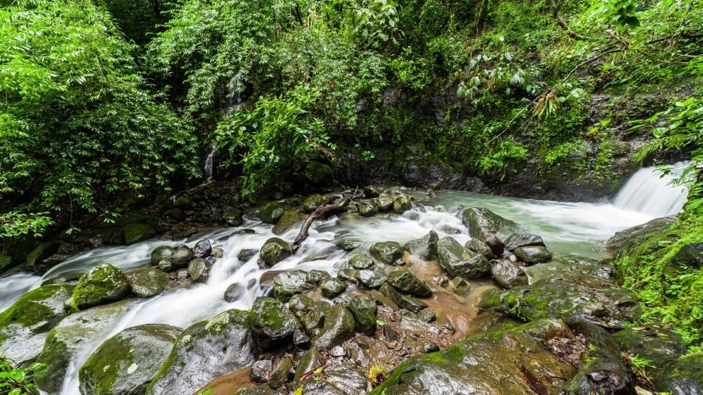 El Chorro Macho