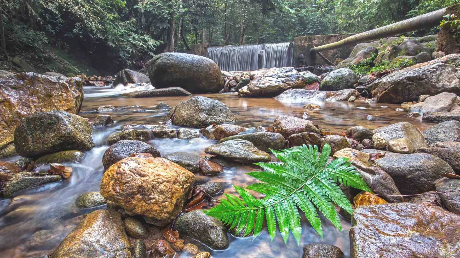 weekend getaway Malaysia (5) Ulu Yam