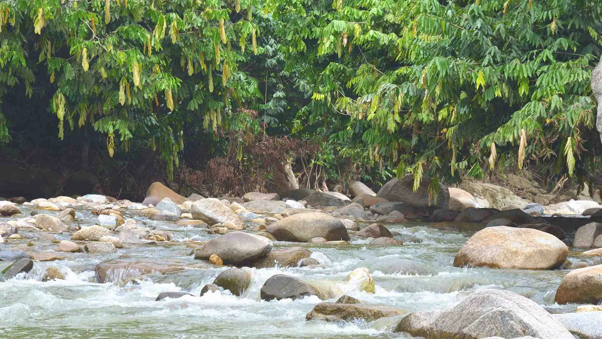 weekend getaway Malaysia (9) Janda Baik