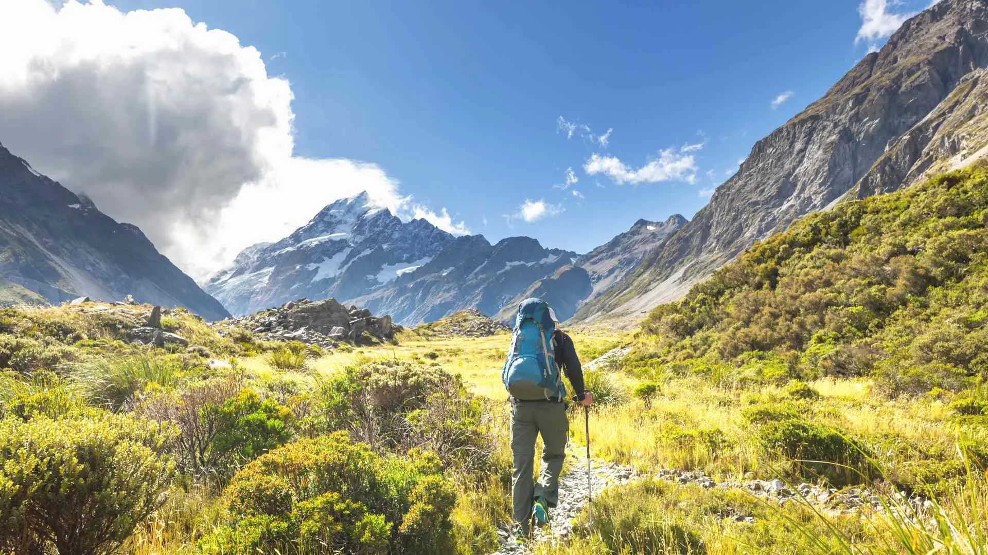 what new zealand is famous for (4) new zealand random facts
