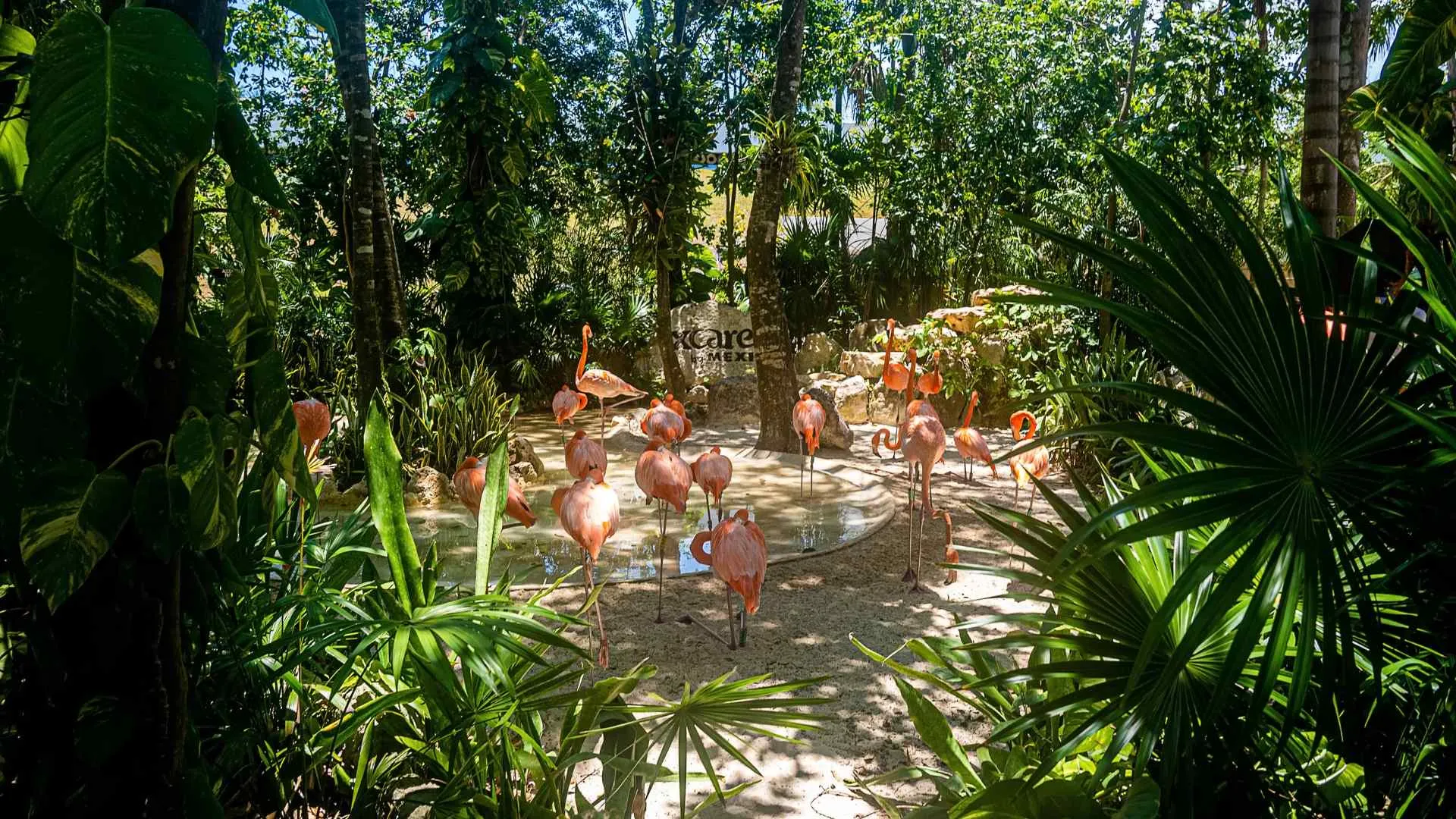Xcaret Eco Archaeological Park Xcaret Eco Archaeological Park