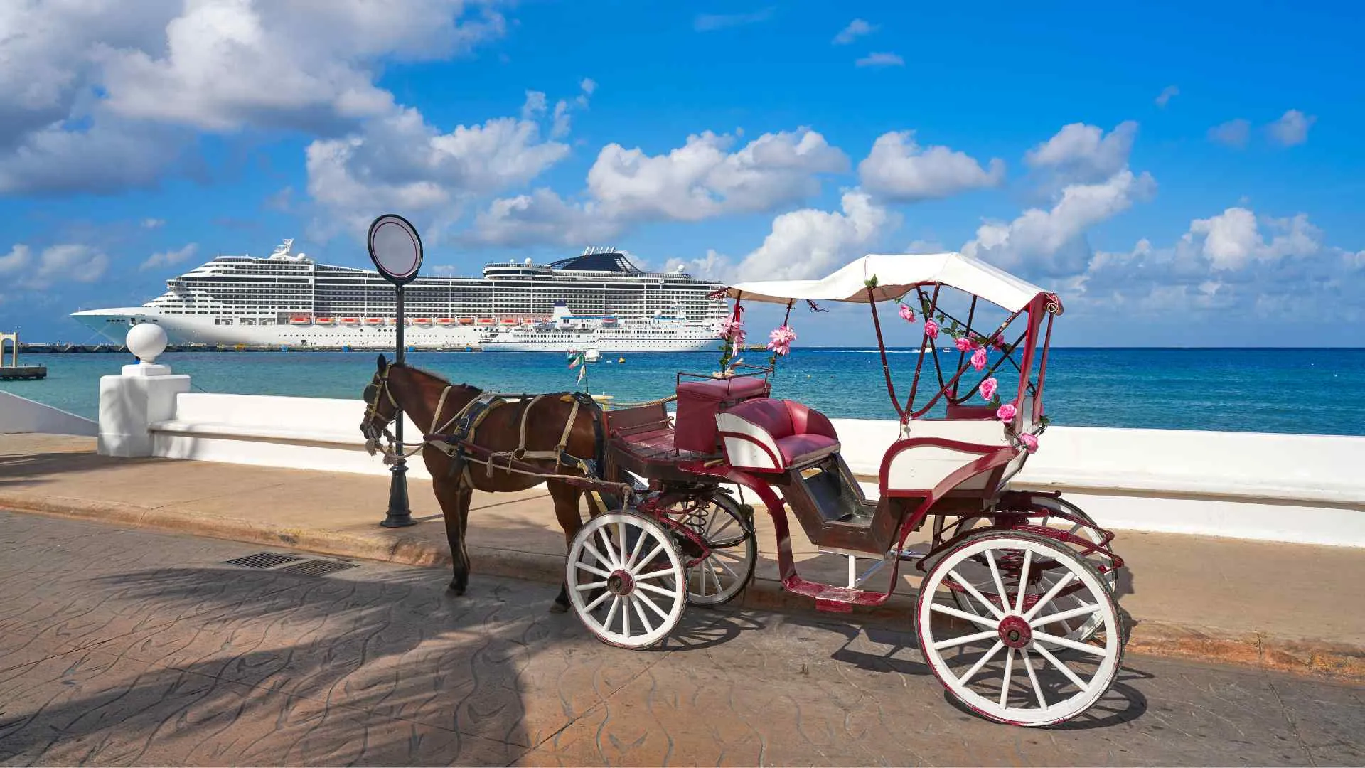 Cozumel horse carriage Cozumel horse carriage