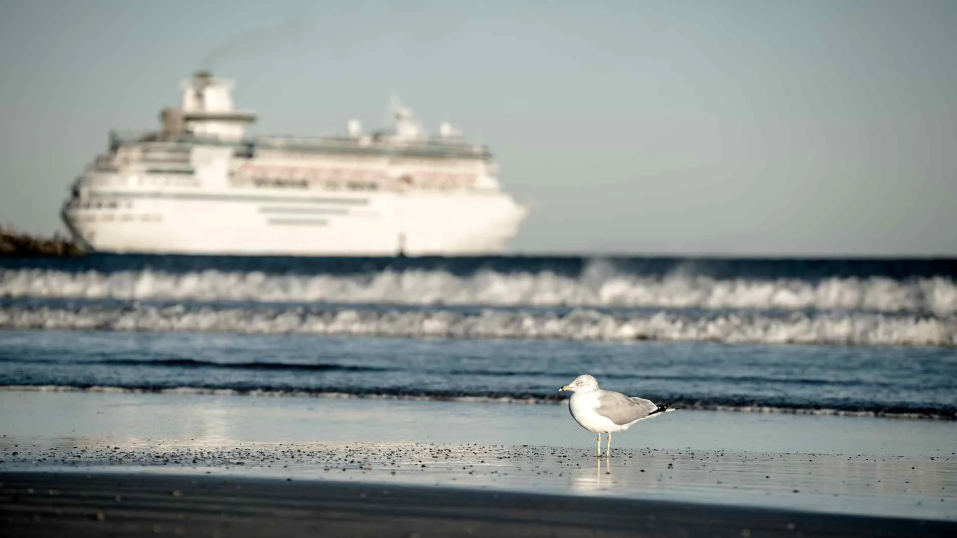 Port Canaveral Port Canaveral