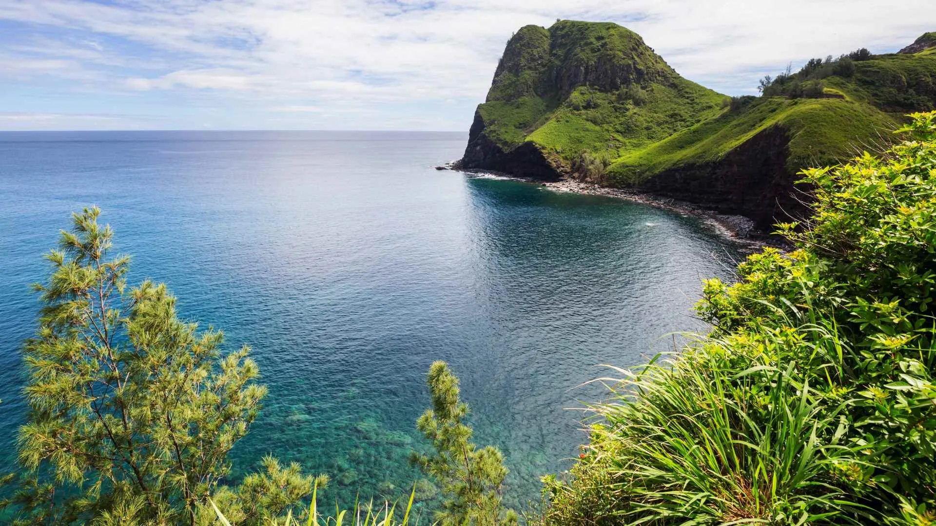 Maui Maui