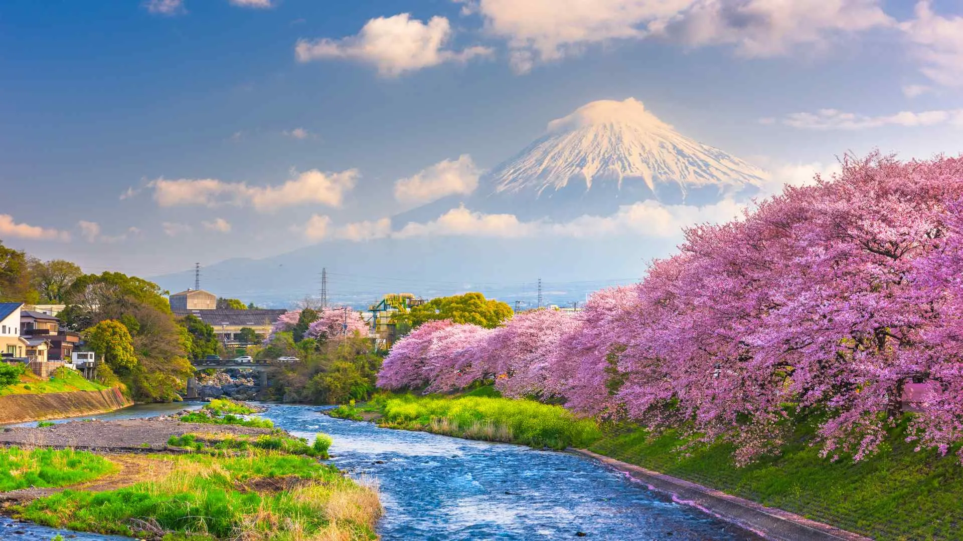cruising to Japan cruising to Japan