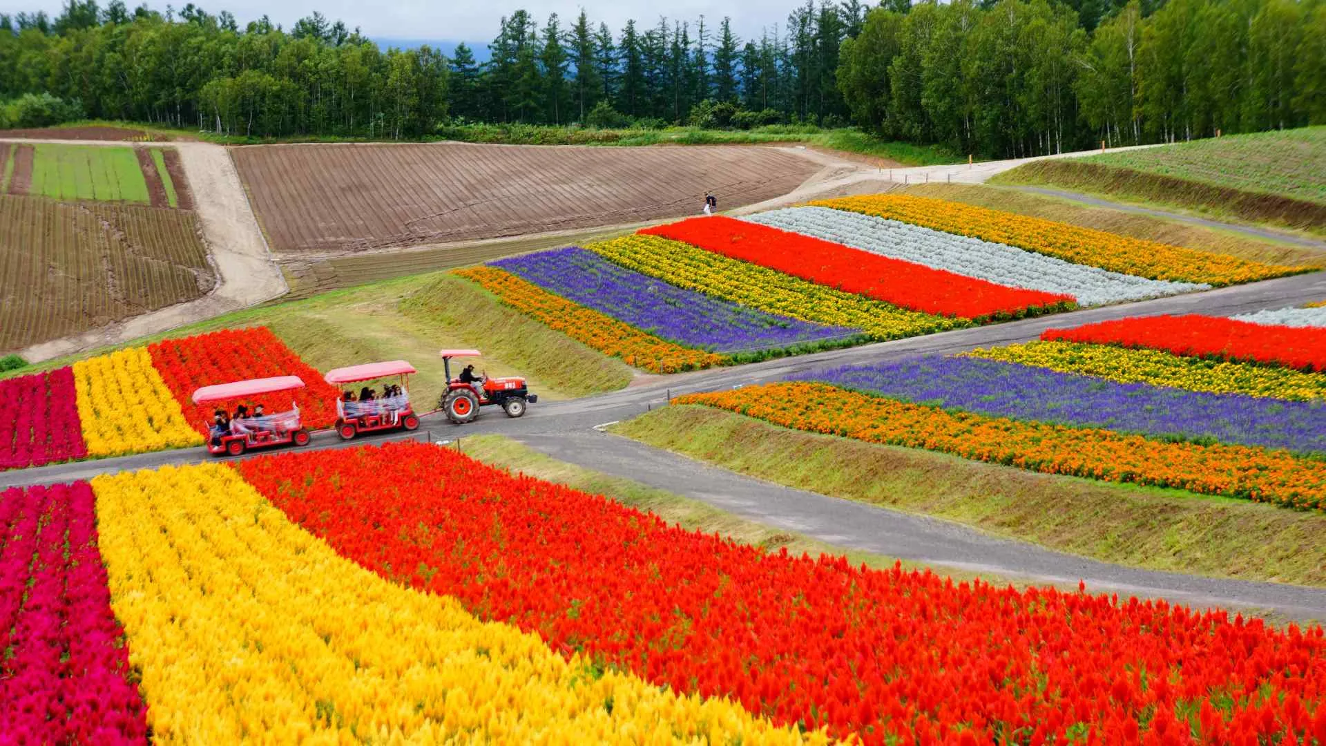 Japan cruise ports-6 Hokkaido