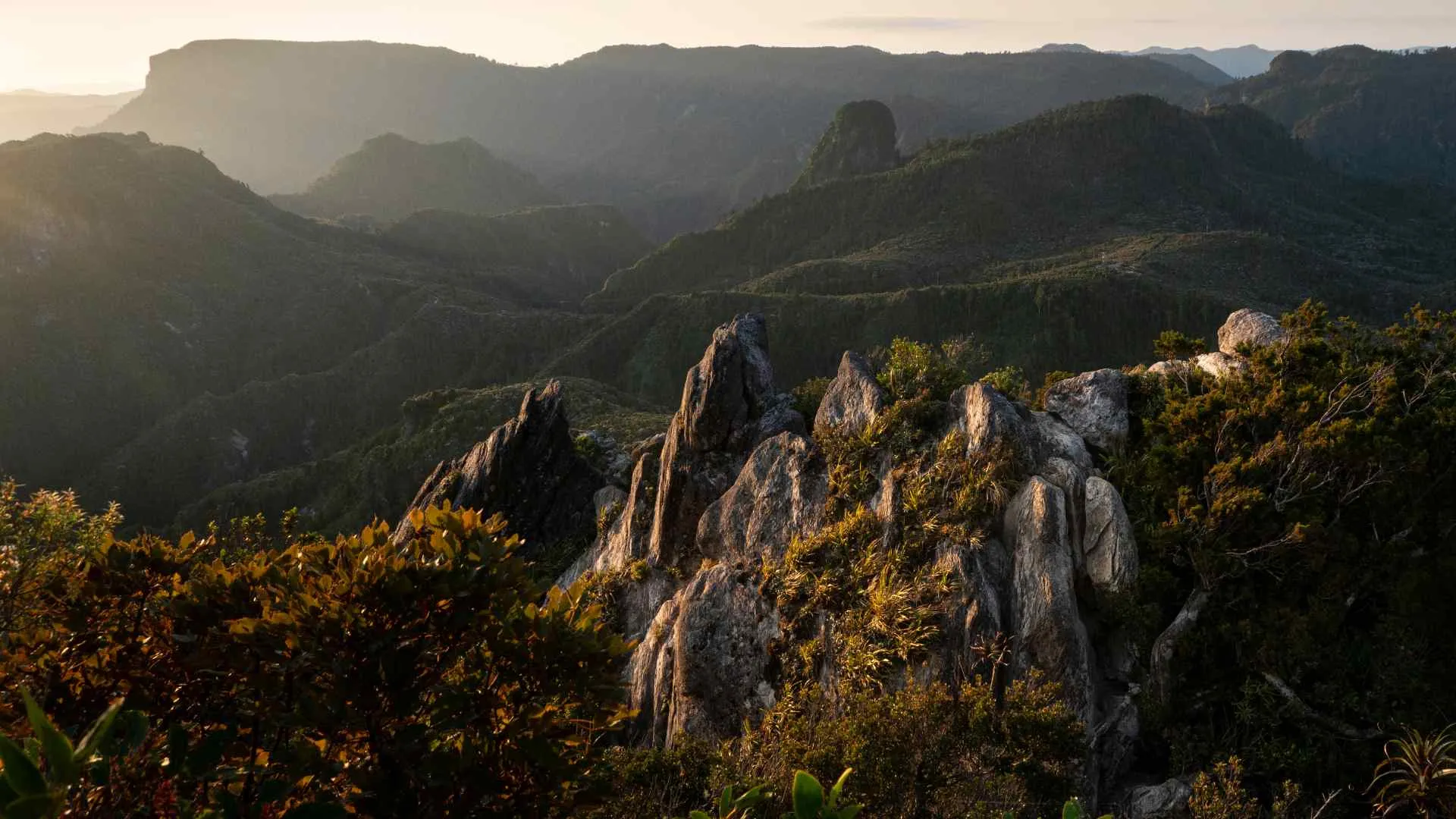 Coromandel's Pinnacles Coromandel's Pinnacles