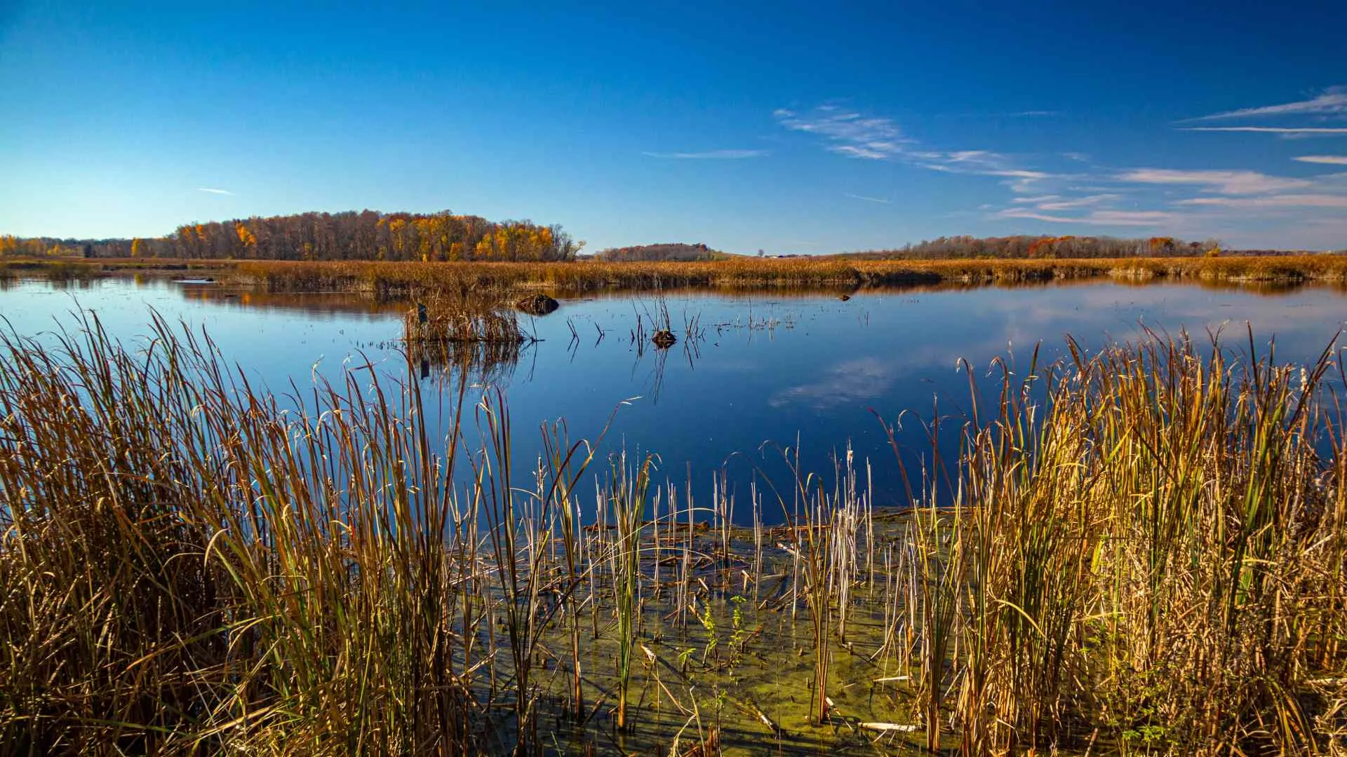 Horicon Marsh Horicon Marsh