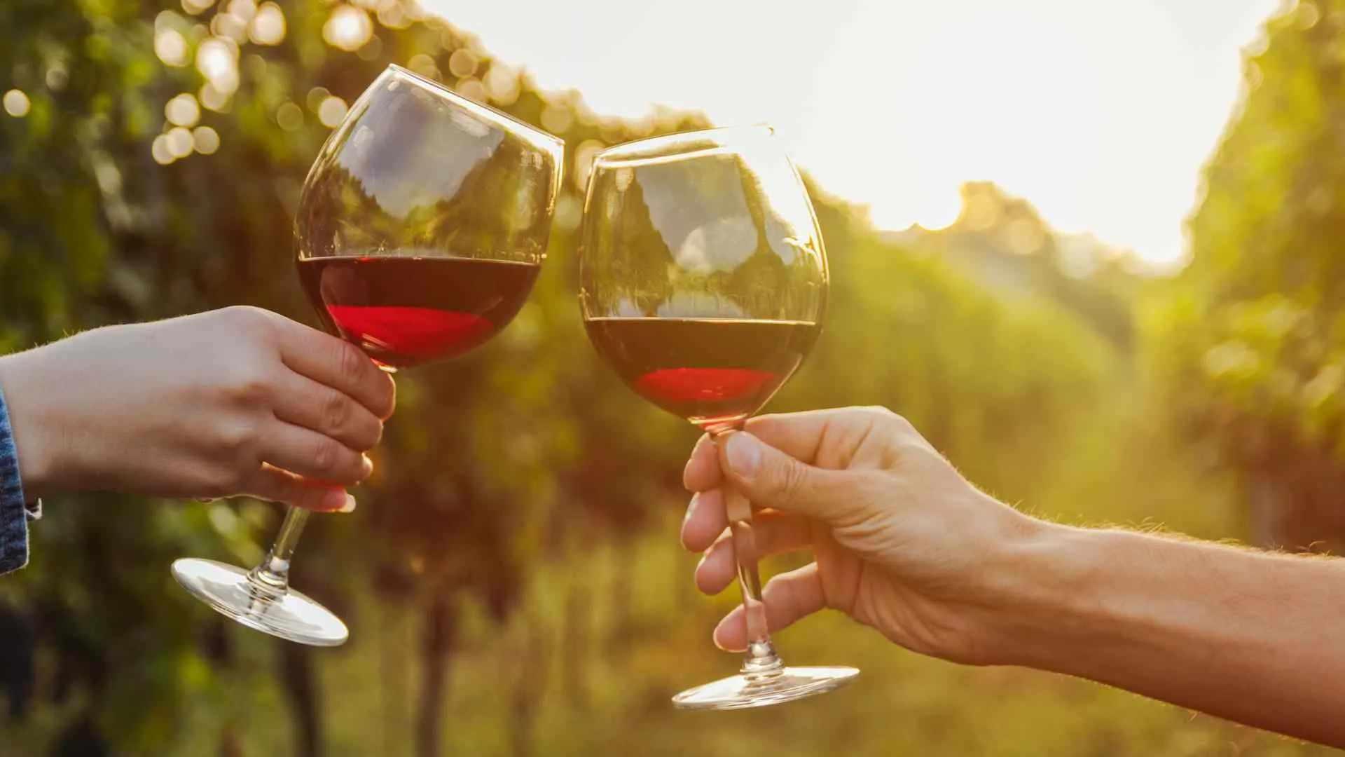 Wisconsin romantic vacations winery wine glasses