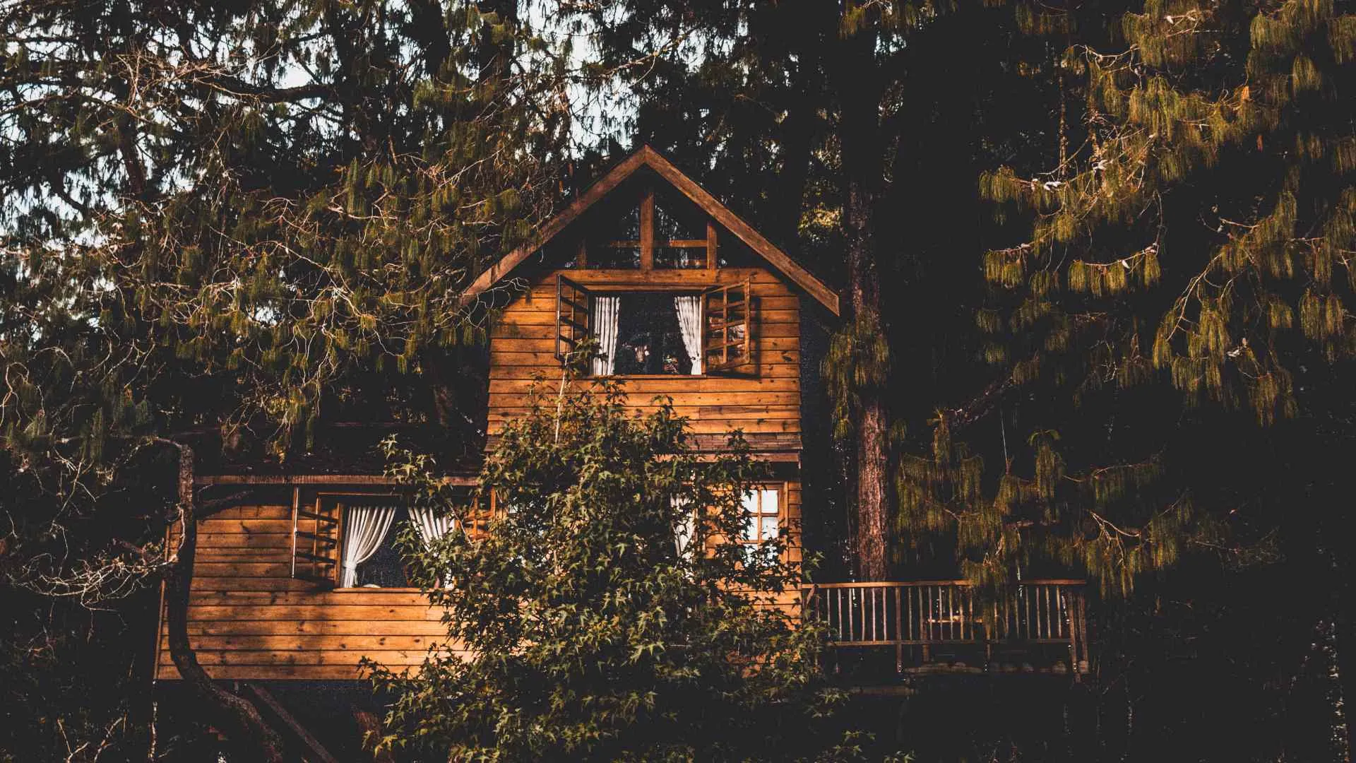 treehouse stay in wisconsin treehouse stay in wisconsin