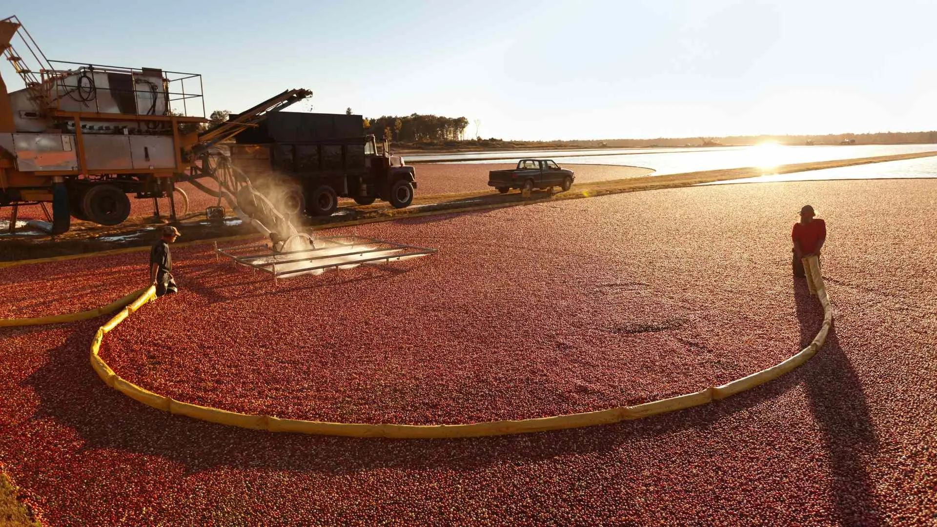 Cranberry Fest Cranberry Fest