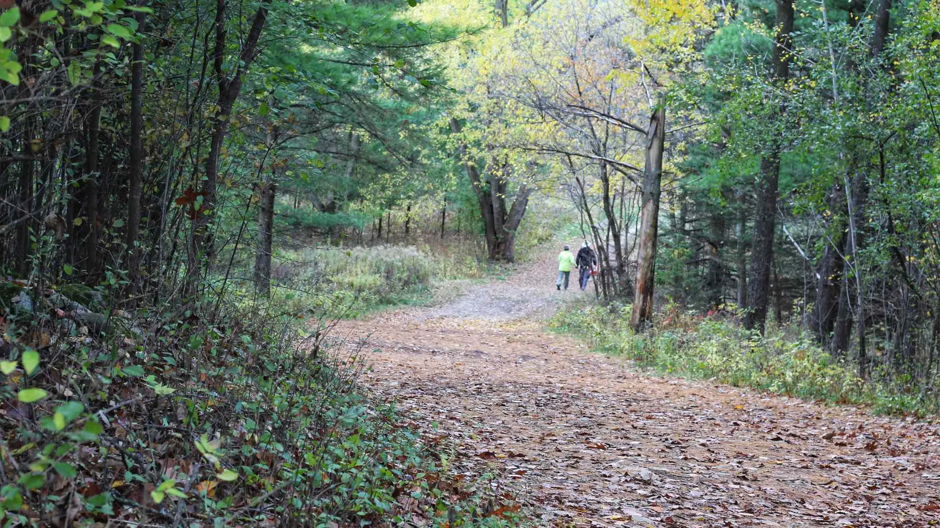 Kettle Moraine State Forest Kettle Moraine State Forest