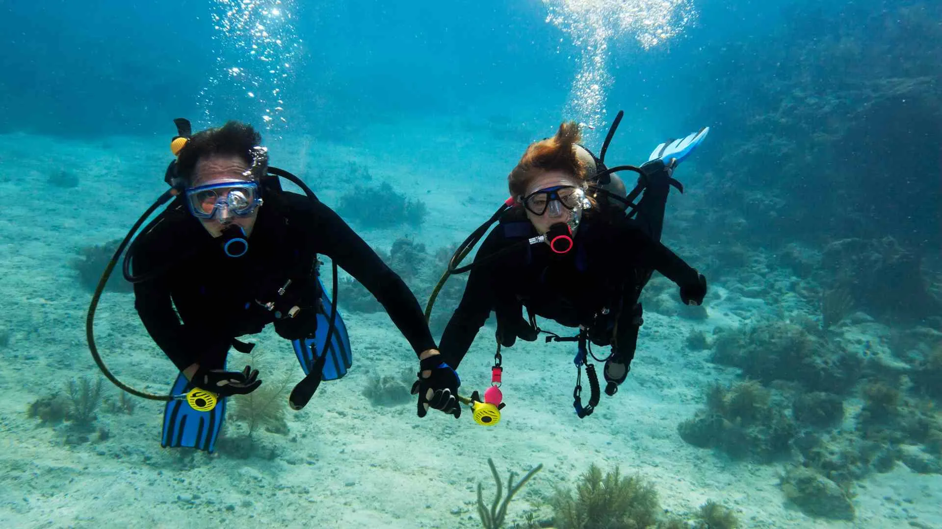 Tarkarli scuba diving Tarkarli scuba diving