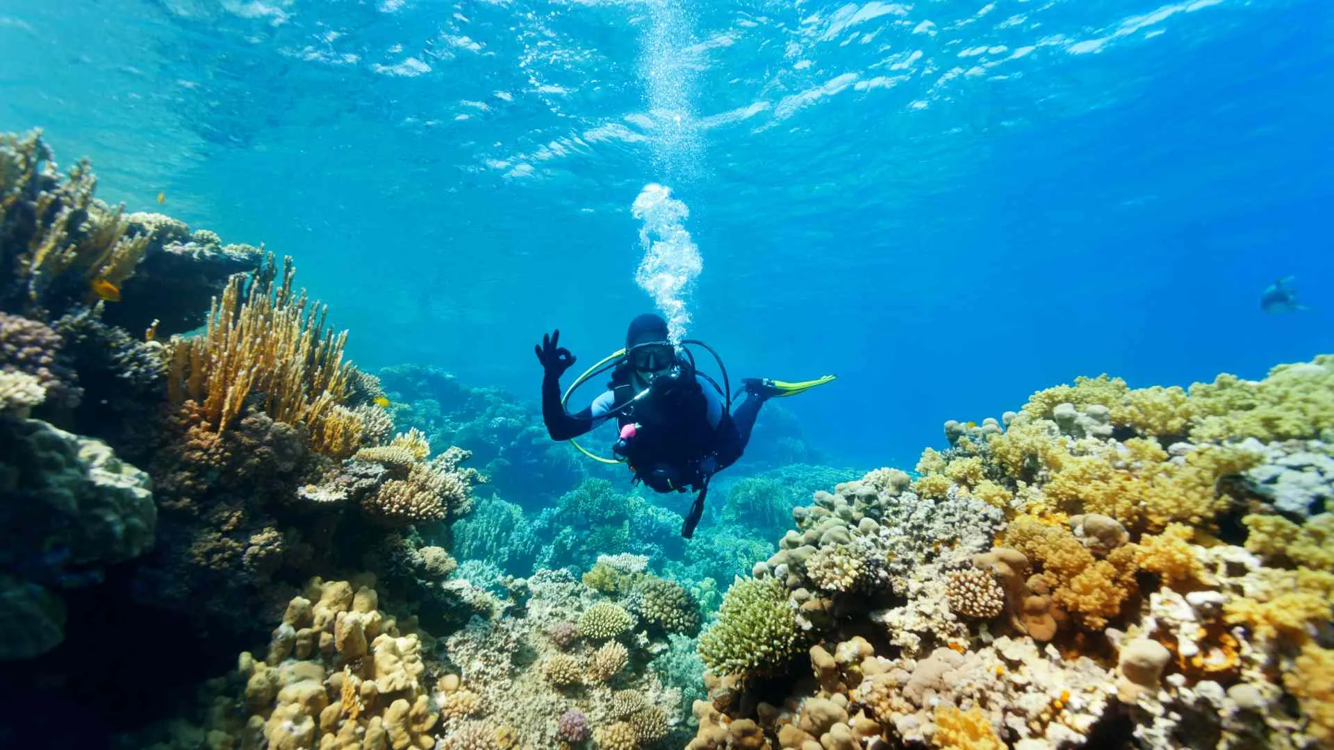 scuba diving-9 scuba