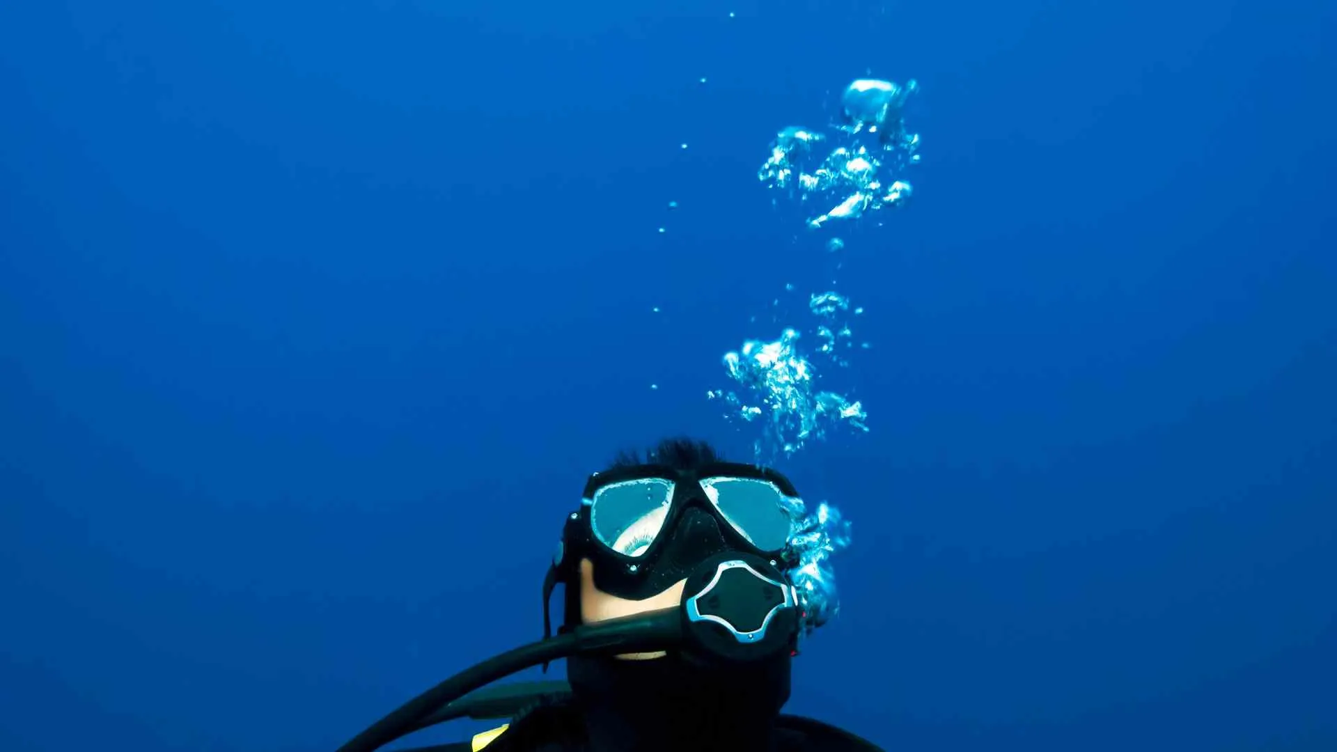 Tarkarli scuba diving Tarkarli scuba diving