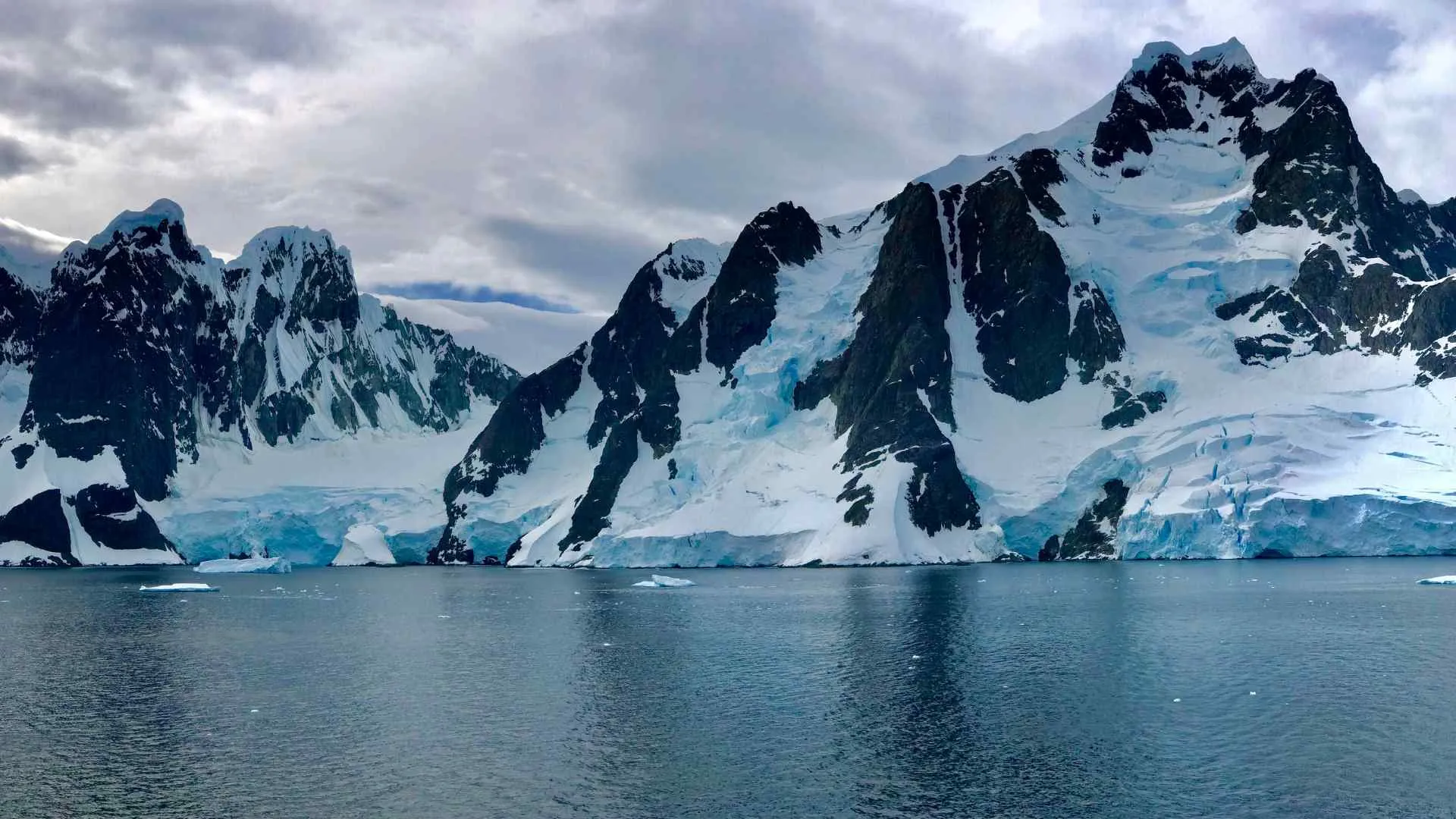 Antarctica Antarctica