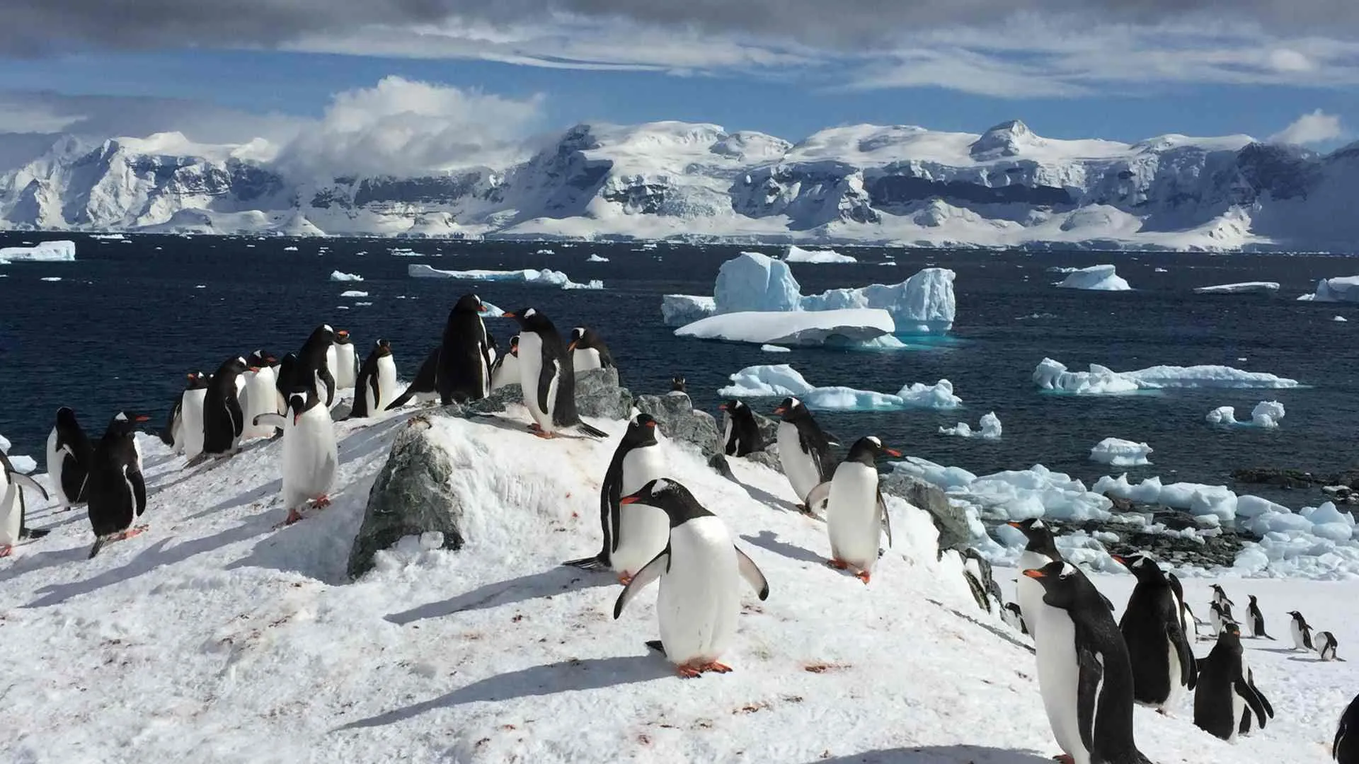 Lindblad Expeditions Lindblad Expeditions