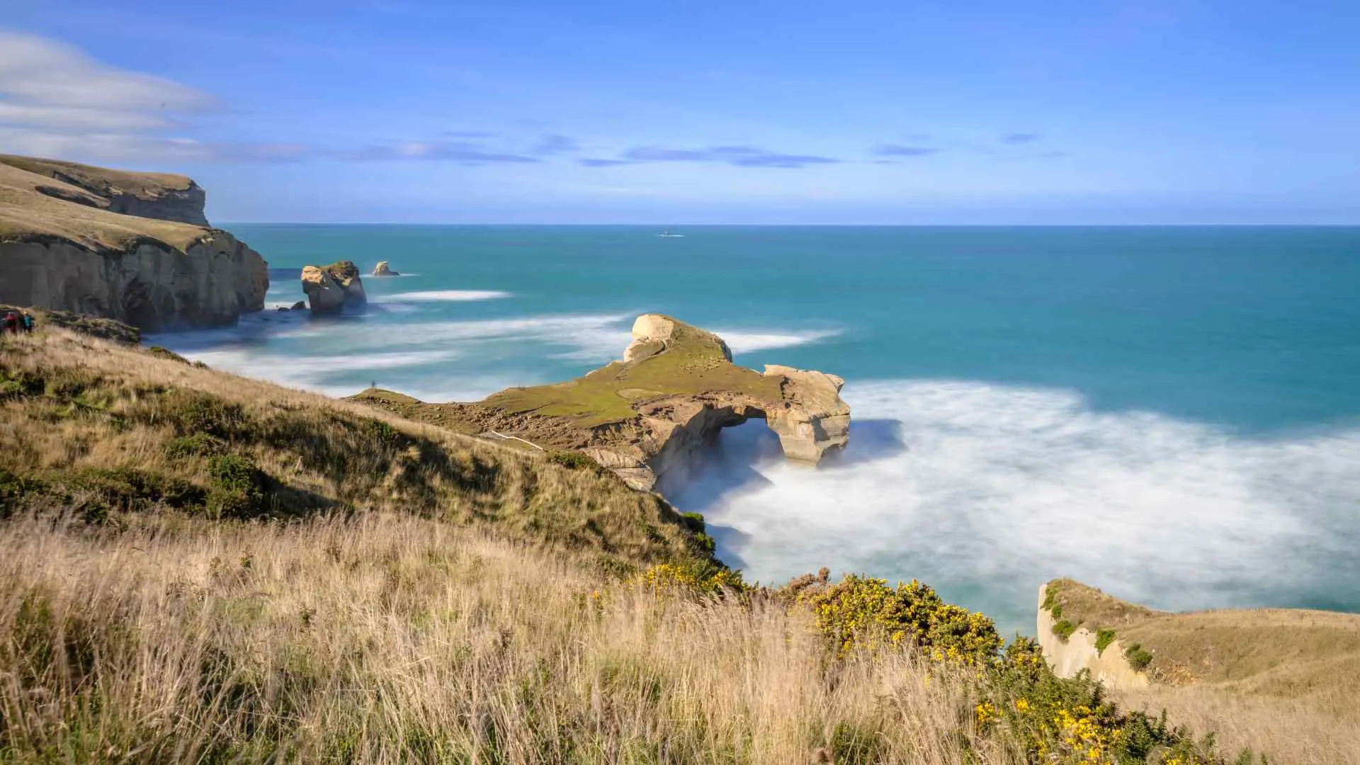 Dunedin, New Zealand Dunedin, New Zealand