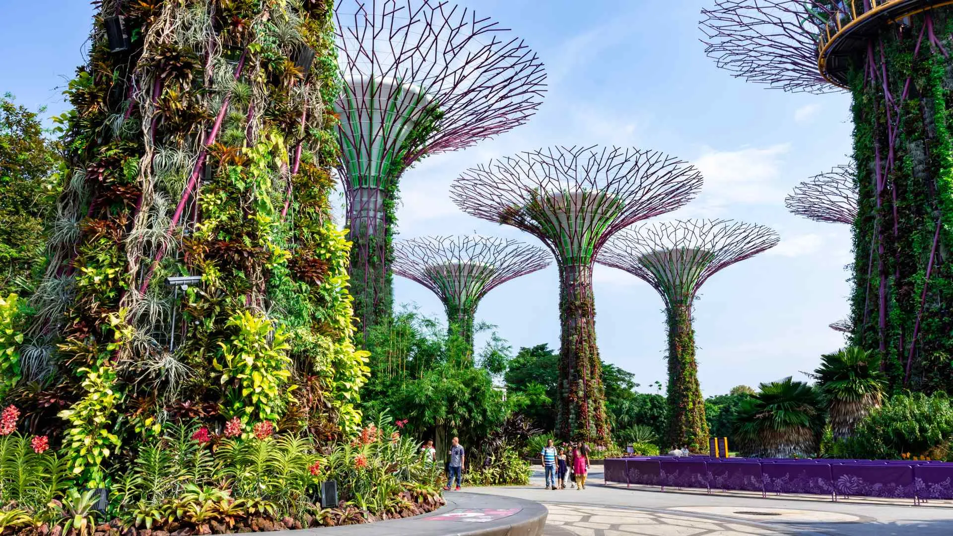 Singapore Singapore