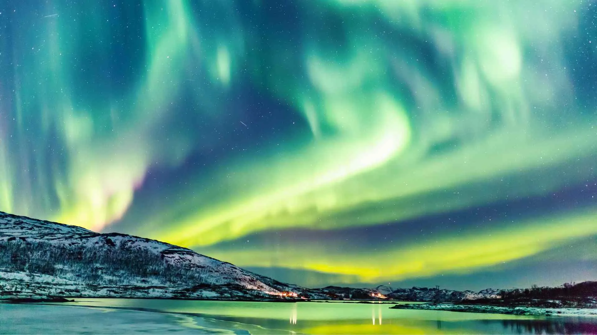 northern lights cruises