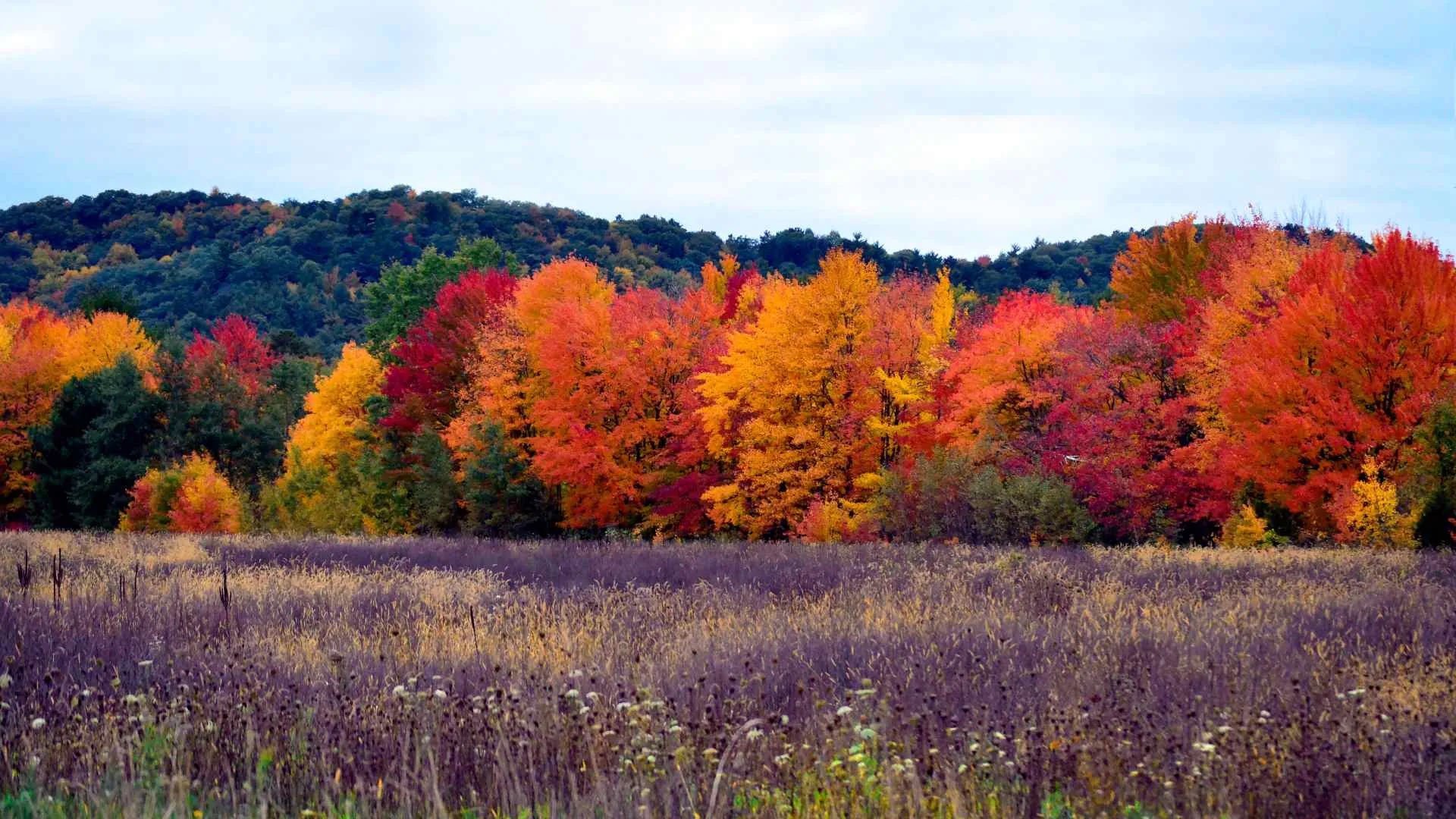 fall in northern wisconsin fall in northern wisconsin