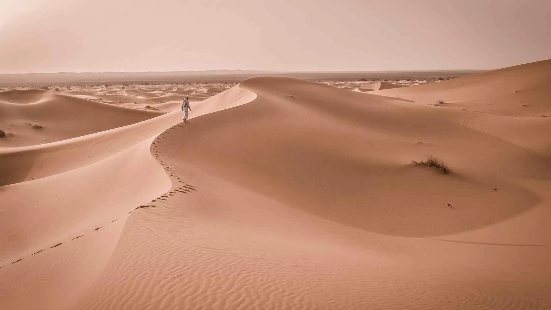 Gobi Desert Gobi Desert