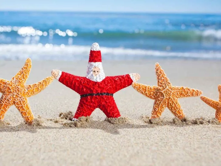 Christmas Cruises