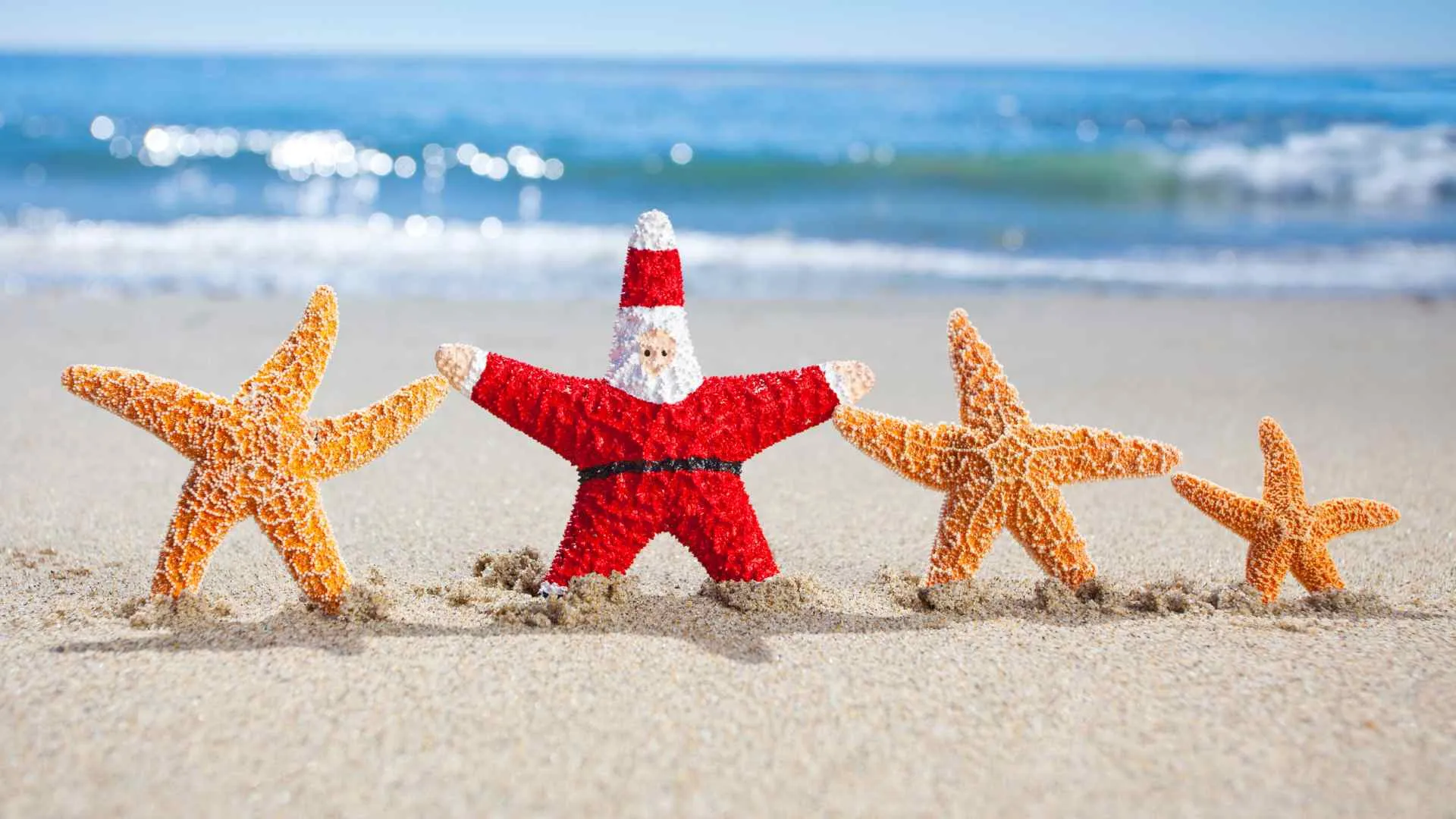 Christmas Cruises