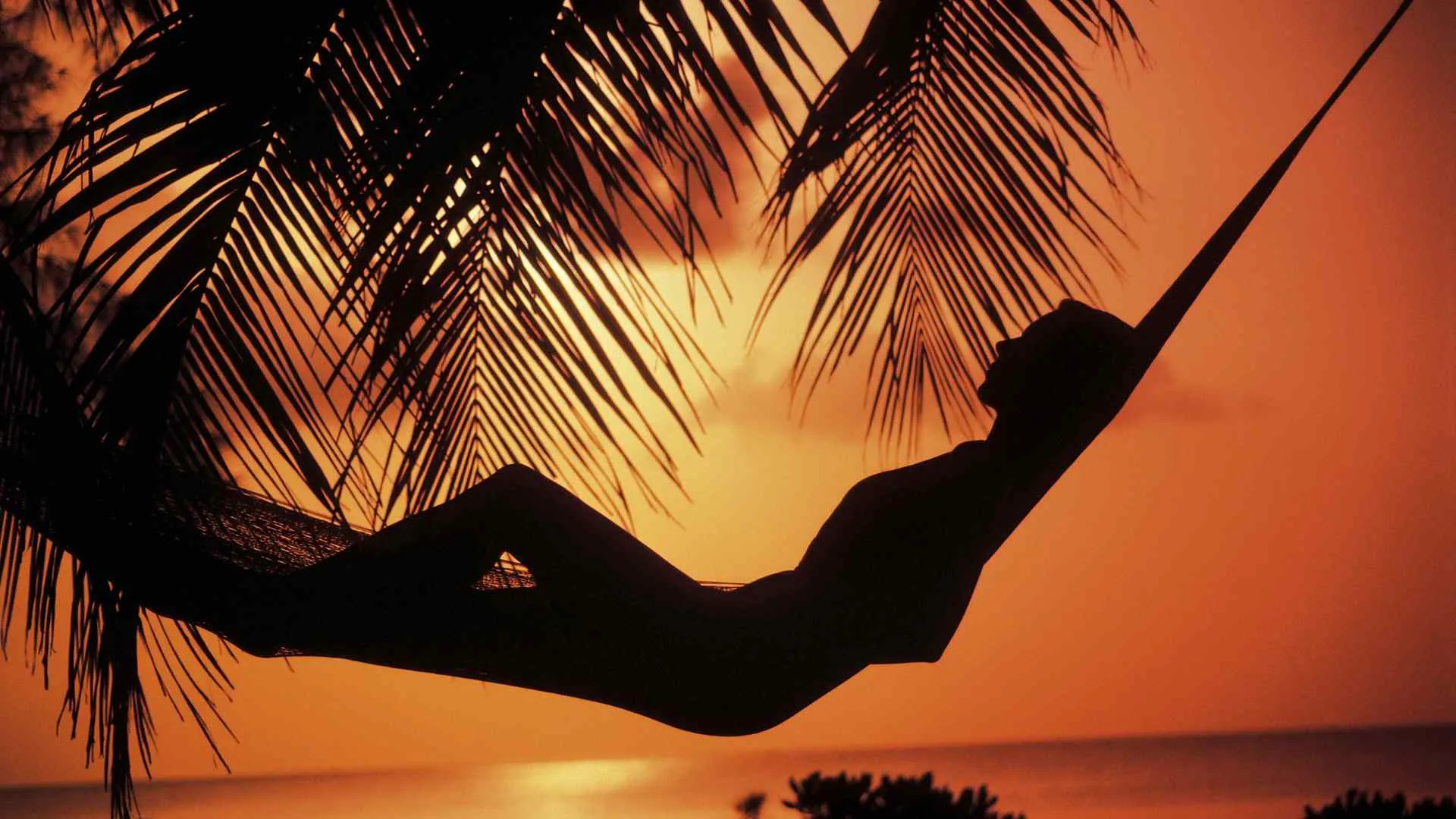 Do You Need a Passport For The Bahamas-10 Bahamas passport